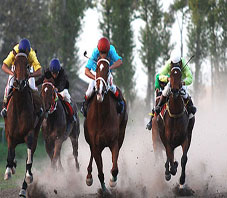 iran_horse_riding iran_horse_riding